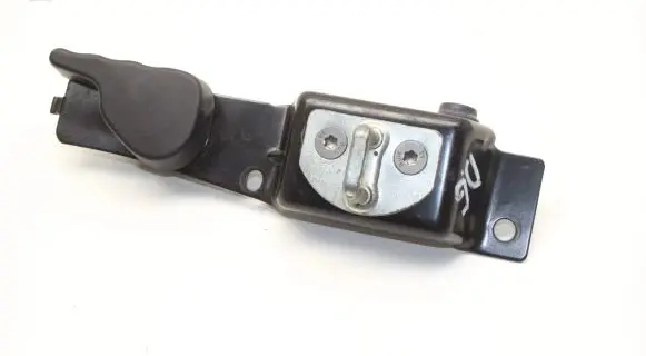 Renault Kangoo III Rear door interior handle 8200497811