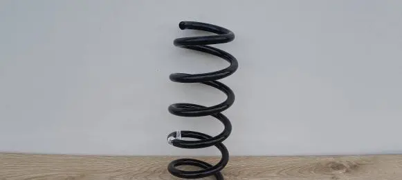 BMW X3 G01 Front coil spring 8863024-01