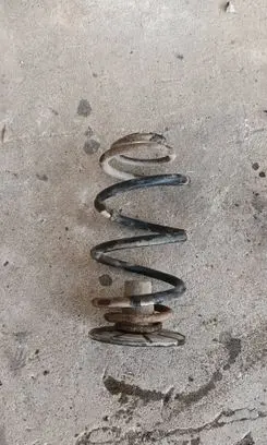 Opel Vectra C Rear coil spring