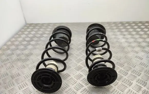 Citroen Berlingo Rear coil spring