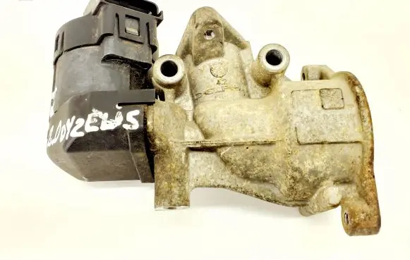 EGR valve