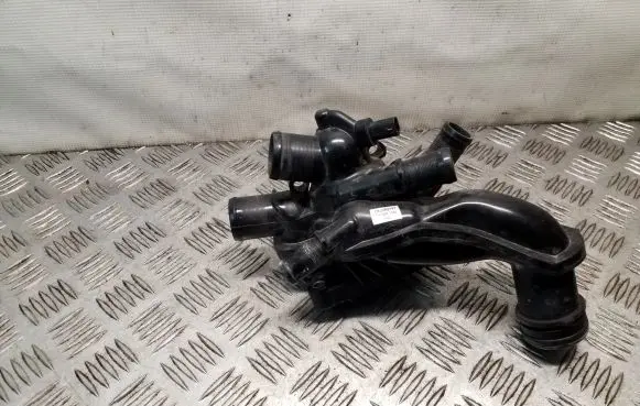 Thermostat/thermostat housing