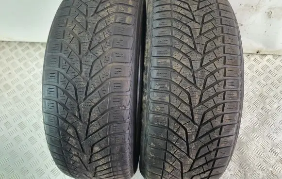 Nissan Qashqai R17 winter tire YOKOHAMA BLUEARTH 21555R17