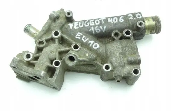 Thermostat/thermostat housing