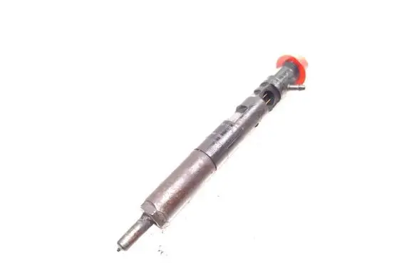 Nissan Note (E11) Fuel injector 166001137R 28232251 H8200421897