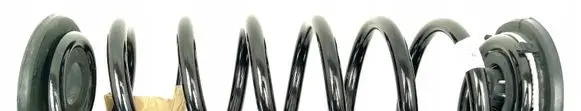 Volkswagen Tiguan Rear coil spring 5QS511103D