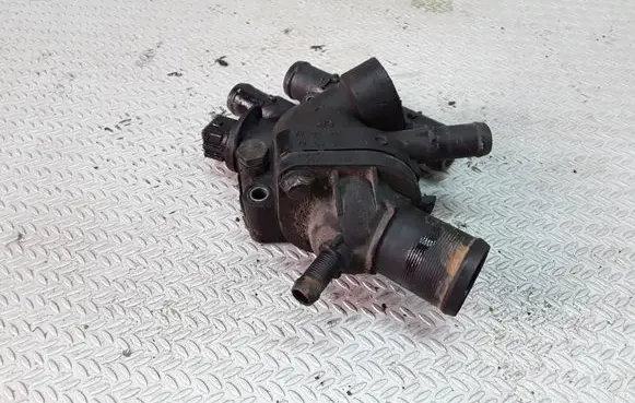 Thermostat/thermostat housing