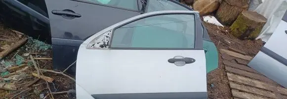 Ford Focus Front door