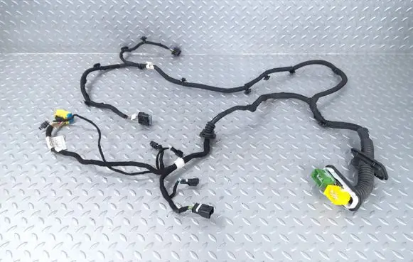 Front door wiring loom