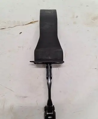 Volkswagen PASSAT B8 Rear door check strap stopper 3G0839267
