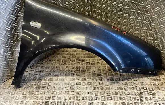 Fender