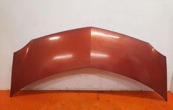 Renault Modus Engine bonnet/hood