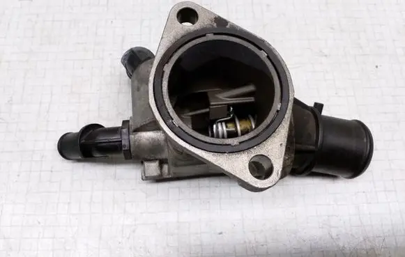 Thermostat/thermostat housing