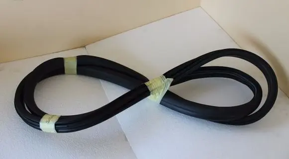 Opel Signum Front door rubber seal