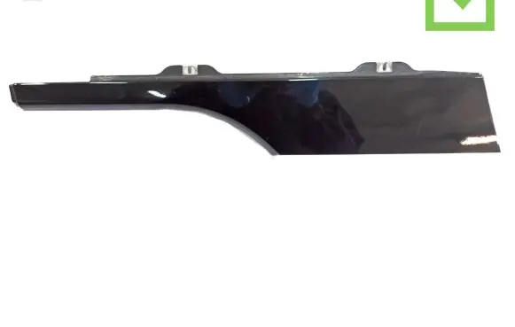 Peugeot 1007 Sliding door trim (molding) 9649797377