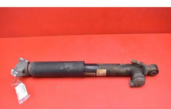 Opel Insignia A Rear shock absorber/damper 13319753