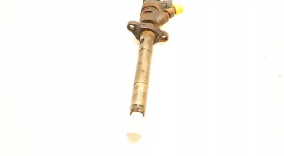 Peugeot Partner Fuel injector 0445110311
