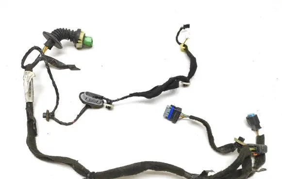 Citroen DS5 Rear door wiring loom 9801373380 55WYR2004