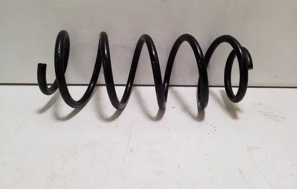Rear coil spring