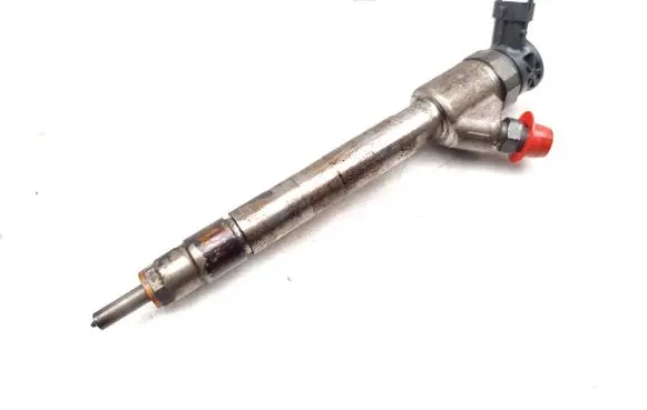 Citroen Berlingo Fuel injector 9828959880 0445110955