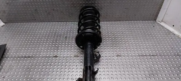 Ford Ecosport Front shock absorber/damper FN1C-18K001-BB