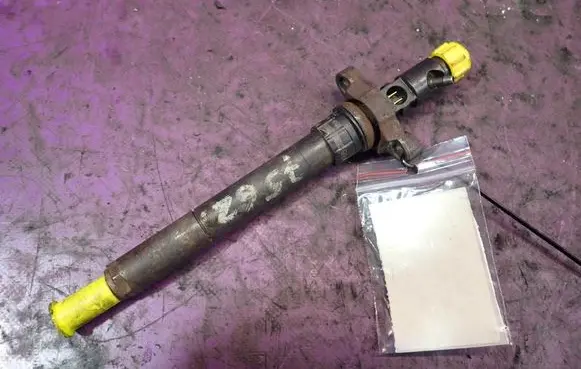 Citroen C5 Fuel injector 