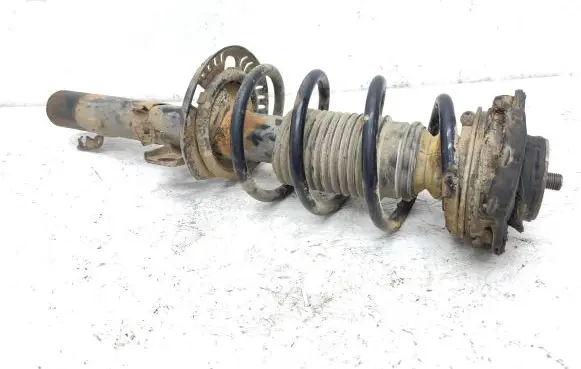 Volkswagen Polo IV 9N3 Front shock absorber with coil spring