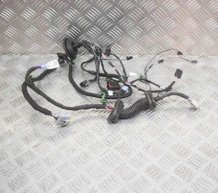Rear door wiring loom