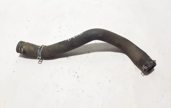 Renault Talisman Engine coolant pipe/hose 215016584R