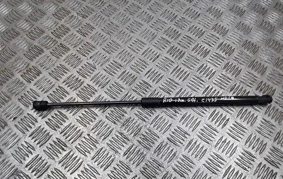 Tailgate/trunk strut/damper