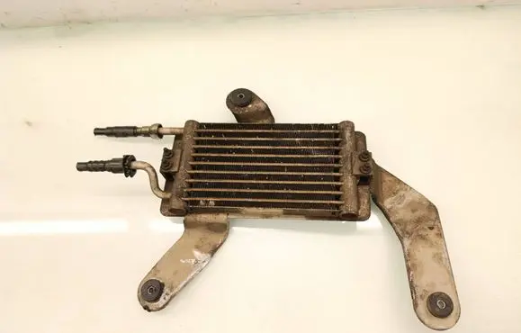 Opel Antara Fuel cooler (radiator) 
