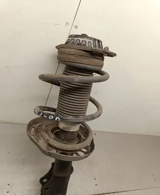 Opel Insignia B Front shock absorber with coil spring