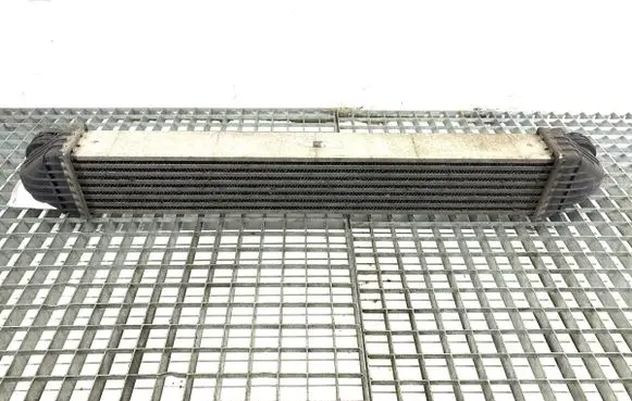 Mercedes-Benz B W245 Intercooler radiator A1695000000