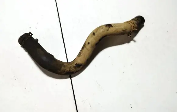 Volkswagen Touareg I Engine coolant pipe/hose
