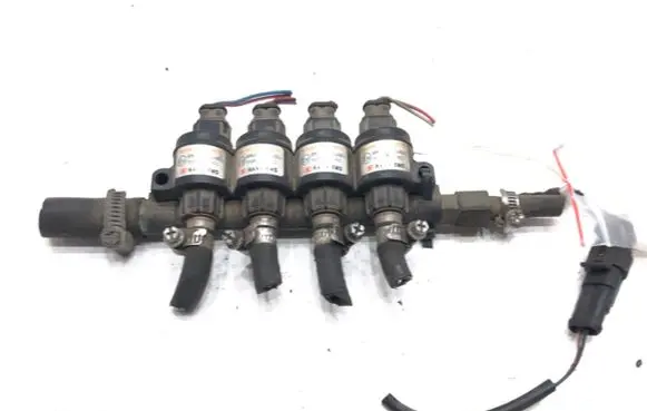 Ford Focus LP gas injector 