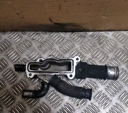 Thermostat/thermostat housing