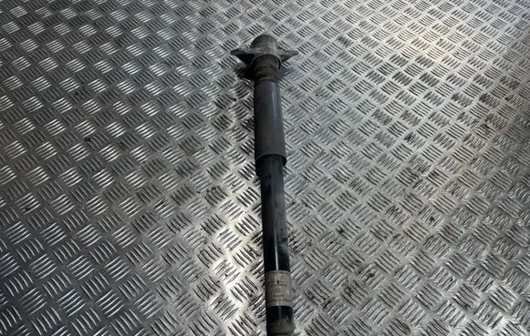 Volkswagen Tiguan Rear shock absorber/damper 5N0513049BA