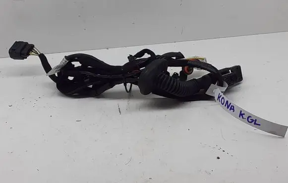 Hyundai Kona I Rear door wiring loom 91620J9030