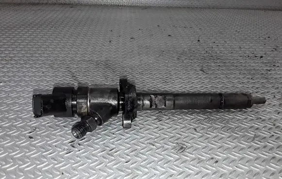 Citroen C5 Fuel injector 0445110188