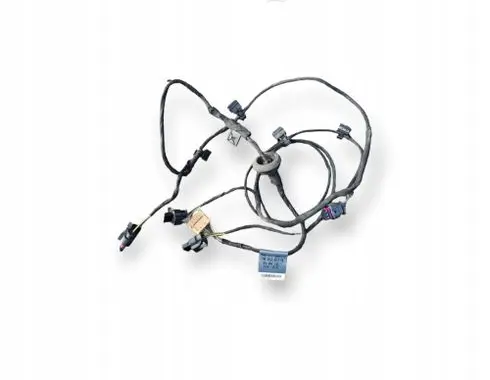 Audi A5 Wiring harness 8W6971095H