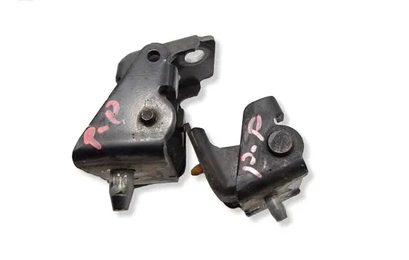 Citroen C5 Front door hinge set 