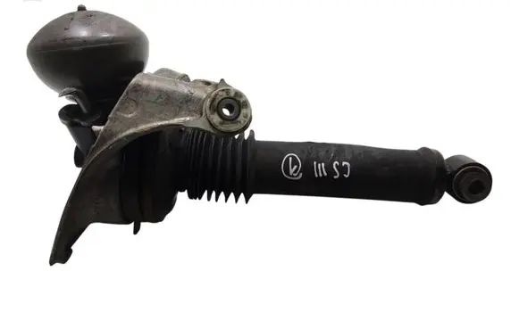 Citroen C5 Front air suspension shock absorber 9667013280