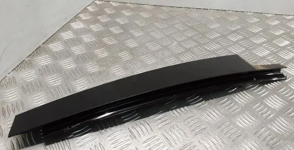 Mercedes-Benz R W251 Front door glass trim molding A2516901689