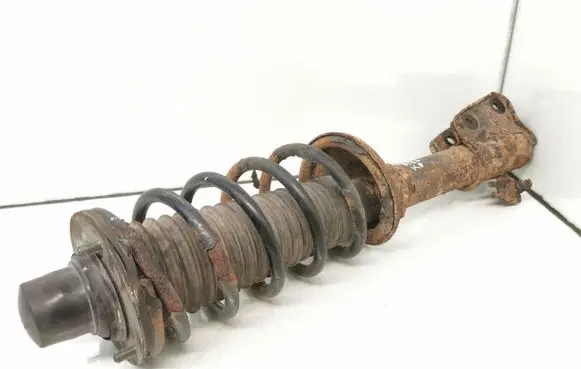 Land Rover Freelander Rear shock absorber with coil spring RPB000050 22190458