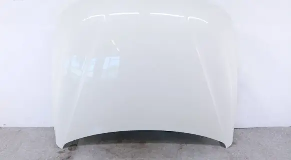 BMW 3 F30 F35 F31 Engine bonnet/hood 7290944 41007290944