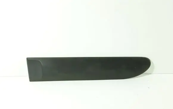 Rear door trim (molding)