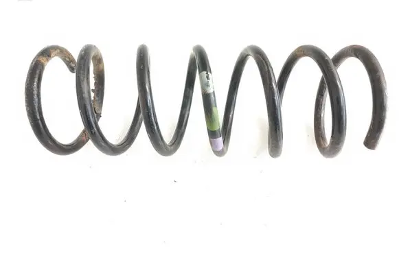 Rear coil spring