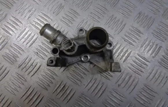 Thermostat/thermostat housing