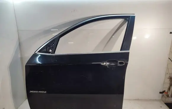 BMW X6 E71 Front door 
