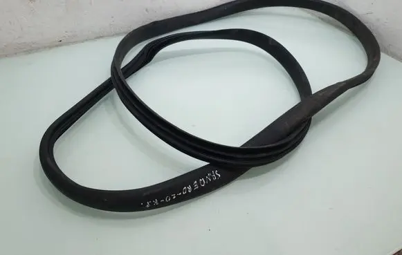 Dacia Sandero II Front door rubber seal 